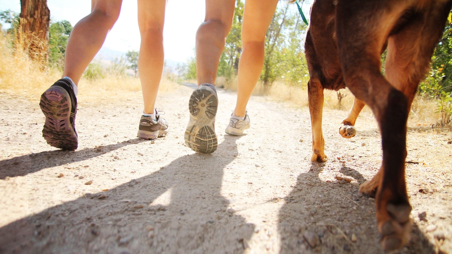 You'll be sure to get your steps in with our resident-exclusive trails ‍♀️ Enjoy a lunch break stroll or a sunset evening walk—we know your pup will appreciate it, too!Check out more details about our resident-exclusive amenities—link in bio! #SiloMills #SiloMillsLiving #SiloMillsTX #GodleyTexas #GodleyTX #NewHomesGodleyTX #GodleyRealEstate #GodleyISD #NewHomes