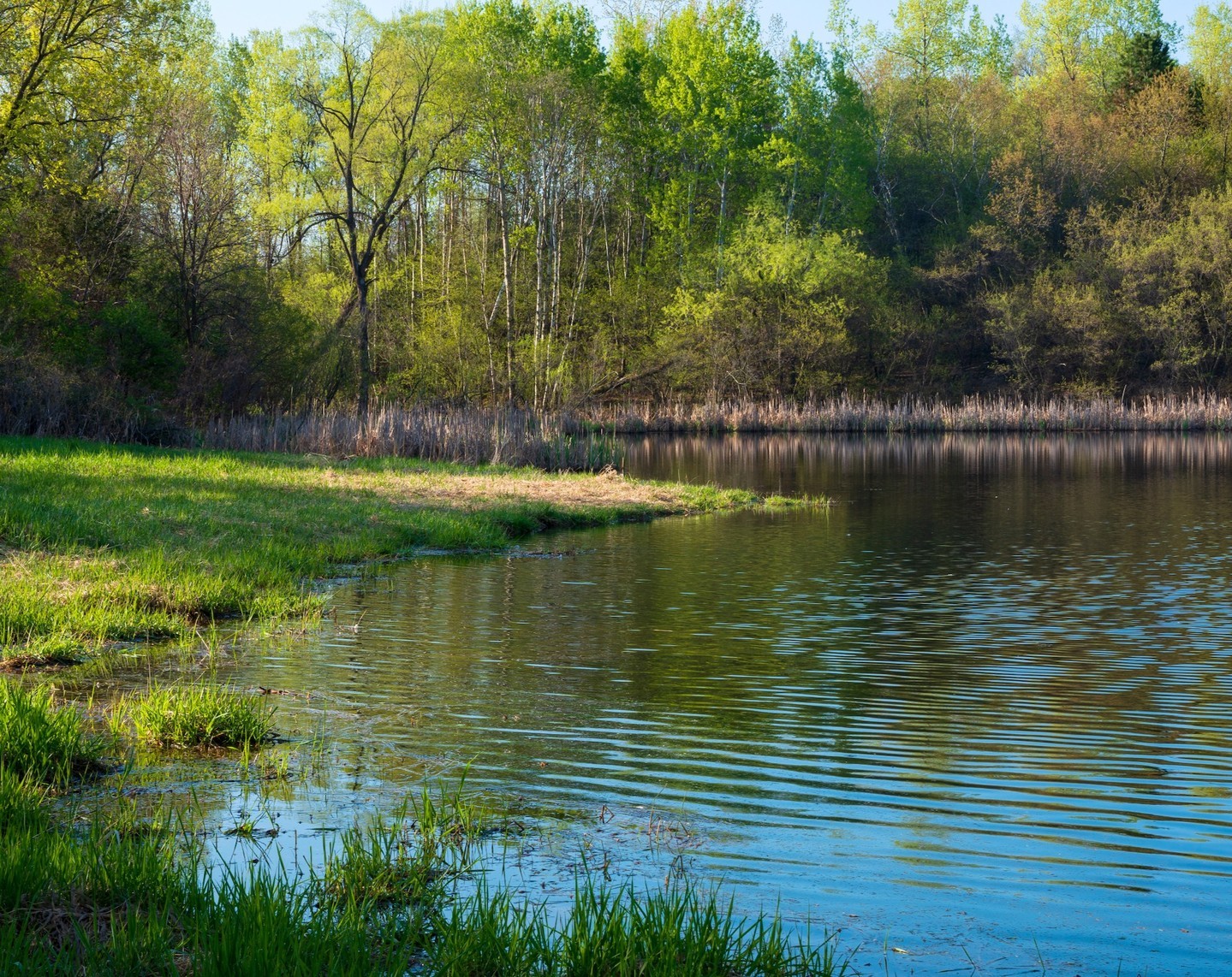 Escaping to everything good and simple is easier than ever for our residents with our scenic ponds Silo Mills is truly a destination where the good life awaits. Find more details about everything our community will offer residents—link in bio! #SiloMills #SiloMillsLiving #SiloMillsTX #GodleyTexas #GodleyTX #NewHomesGodleyTX #GodleyRealEstate #GodleyISD #NewHomes