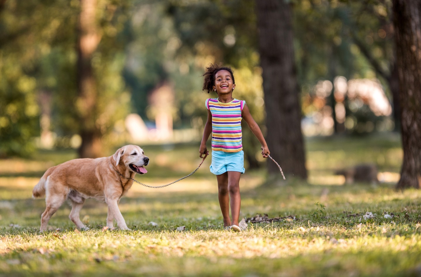 🦮 Silo Mills is pup-friendly! 🐕‍🦺 🐕Our community-exclusive dog park will be a perfect spot for your pups to play while staying close to home. They will also have plenty of room to run around and get some energy out in our gorgeous open green spaces! View all of our pet-friendly amenities by clicking the link in our bio!#SiloMills #SiloMillsLiving #SiloMillsTX #GodleyTexas #GodleyTX #NewHomesGodleyTX #GodleyRealEstate #GodleyISD #NewHomes