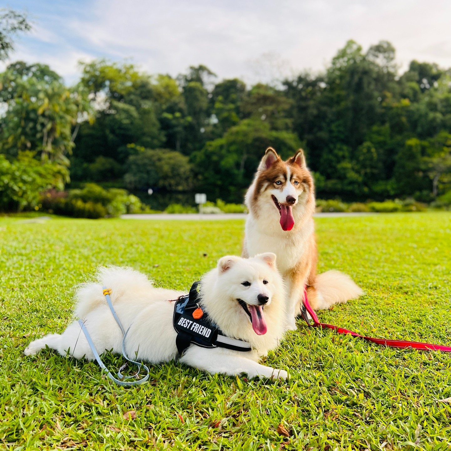 🐕 Silo Mills is pup-friendly! Our future Amenity Center will include a resident-exclusive dog park. Take your dogs out to play and let out some energy while staying close to home! View more details about Silo Mills - Link in bio!#SiloMills #SiloMillsLiving #SiloMillsTX #GodleyTexas #GodleyTX #NewHomesGodleyTX #GodleyRealEstate #GodleyISD #NewHomes